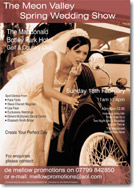 DeMellow Promotions Wedding Poster